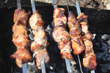 Meat pieces on a skewer
