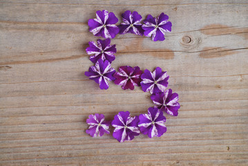5 en fleurs