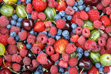 Fototapeta premium different kinds of berries