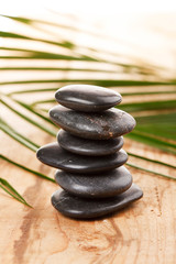 Obraz premium black stones and green leaf