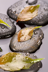 zen stones and leaves with water drops