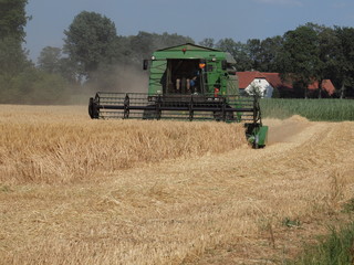 Mähdrescher auf dem Feld