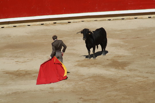 Festival taurino sanfemines, 13 de julio de 2010, Pamplona.