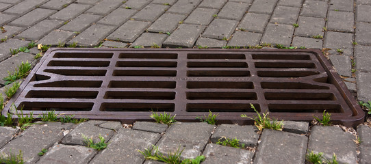 Grid manhole cover
