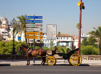 Carruaje frente a señales de trafico en Sevilla