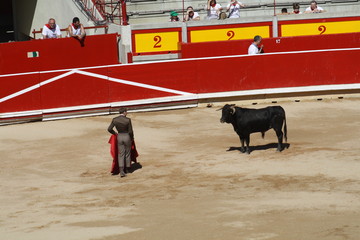 Festival taurino sanfemines, 13 de julio de 2010, Pamplona.