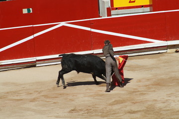 Festival taurino sanfemines, 13 de julio de 2010, Pamplona.