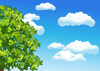 Summer sky