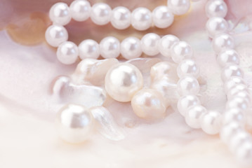 Macro of pink pearls and necklace  in an oyster shell