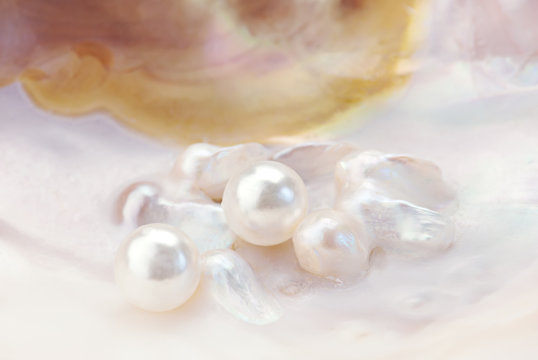 Macro of pink pearls in an oyster shell