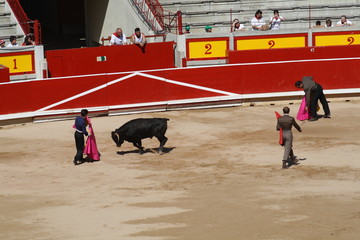 Festival taurino sanfemines, 13 de julio de 2010, Pamplona.