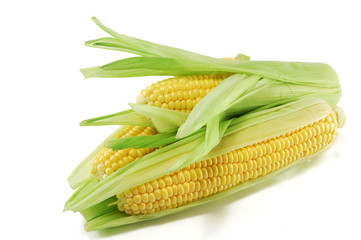 Corn ears