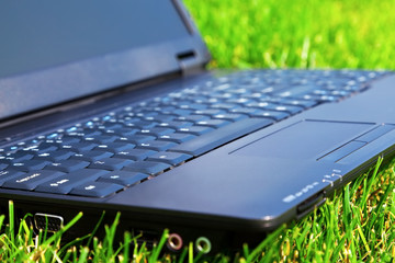 Laptop on grass. Shallow DOF