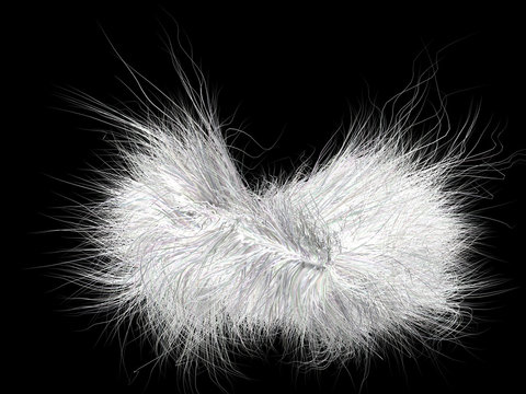 Peli