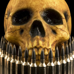 skull and bullets 2