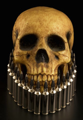 skull and bullets 1