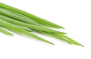 Spring Onions