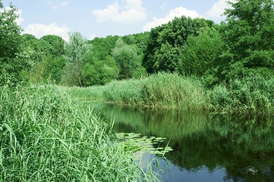 Ententeich Berlin Hasenheide