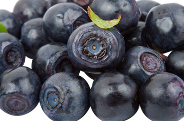 ripe bilberries