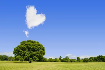 Poster de jardin Nature ハート型の雲と木