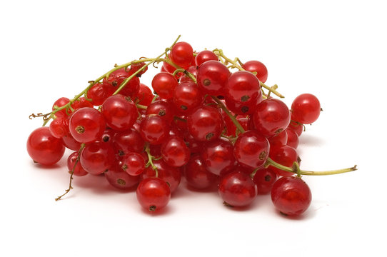 Johannisbeeren
