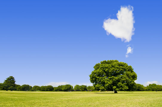 ハート型の雲と木