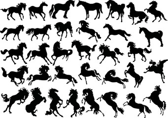 thirty four horse silhouettes