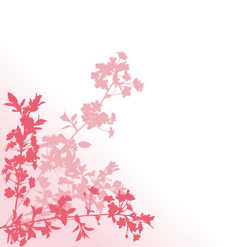 three pink sakura branches illustration