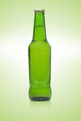 Beer bottle isolated on green background