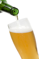 pouring beer in beer glass isolated on white background