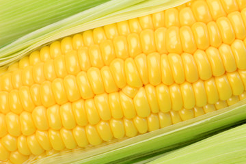 corn