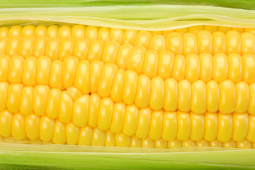 corn