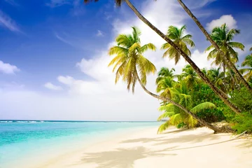 Abwaschbare Fototapete Karibik verlassener Strand