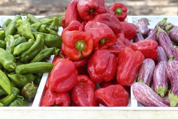 eggplant red pepper green peppers on market store