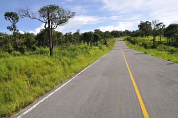 Fototapeta premium On the road - Saithong National Park