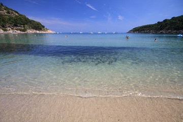Fototapeta na wymiar Plaża Lacona - Elba