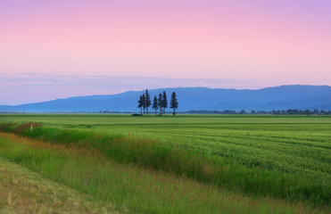 Fototapeta premium Early morning scene