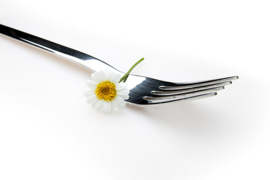 Vegane Di&auml;t