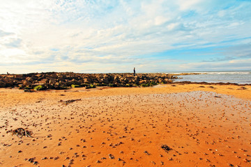 Cambo Beach, fife, Scotland