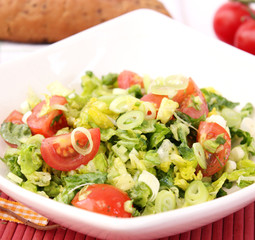 frischer salat