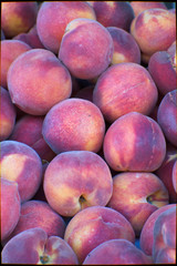 Close pile of peaches