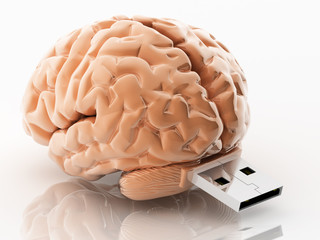 usb brain
