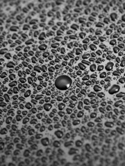 Water Droplets