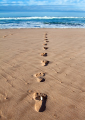 Footprints with feather in wet sand towards the sea
