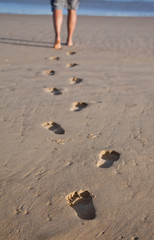Footprints in wet sand of a man walking to the sea