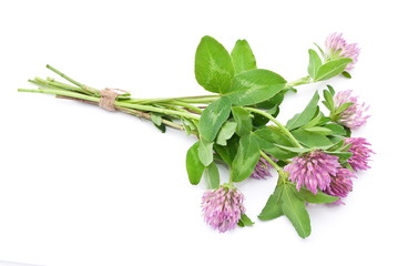 Herbal medicine:Red clover