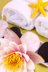 wellness,massage