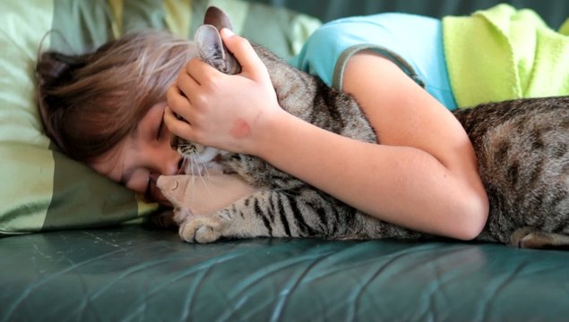sieste avec son chat
