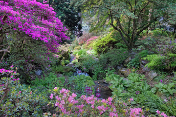 Bodnant Garden