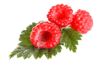 fresh raspberries
